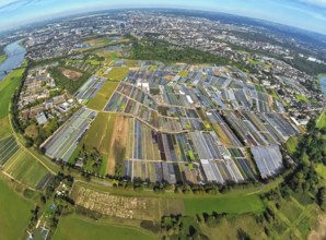 Aerial view, horticulture and agricultural use in the district of Volmerswerth, shapes and colours,