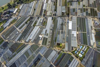 Aerial view, horticultural farms and agricultural use in the district of Volmerswerth, shapes and