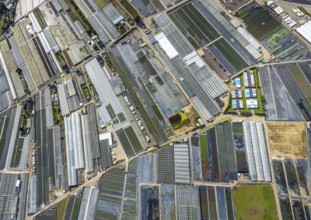 Aerial view, horticultural farms and agricultural use in the district of Volmerswerth, shapes and