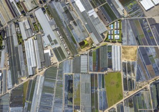Aerial view, horticultural farms and agricultural use in the district of Volmerswerth, shapes and