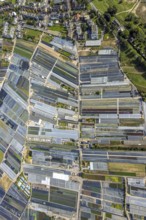 Aerial view, horticultural farms and agricultural use in the district of Volmerswerth, shapes and