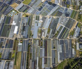 Aerial view, horticultural farms and agricultural use in the district of Volmerswerth, shapes and