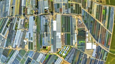 Aerial view, horticulture and agricultural use in the district of Volmerswerth, shapes and colours,