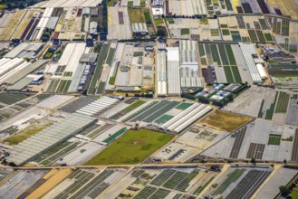 Aerial view, horticultural farms and agricultural use in the district of Volmerswerth, shapes and