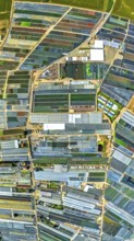 Aerial view, horticulture and agricultural use in the district of Volmerswerth, shapes and colours,