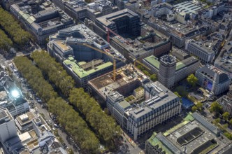 Aerial view, old town with office buildings and shopping mall, Baumallee and Königsallee,