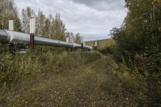 Alaska Pipeline, Fairbanks, USA