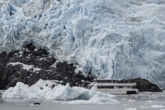 Holgate Glacier, Kenai Fjords National Park, Alaska, USA