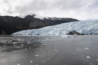 Holgate Glacier, Kenai Fjords National Park, Alaska, USA