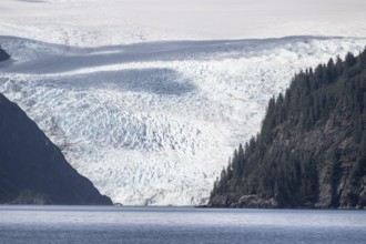 Holgate Glacier, Kenai Fjords National Park, Alaska, USA
