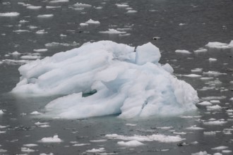 Iceberg, Glacier Bay, Alaska, USA