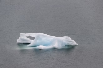 Iceberg, Glacier Bay, Alaska, USA
