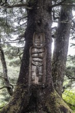 Totem pole carved into a tree, Juneau, Alaska, USA