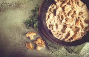 Fried chanterelle mushrooms, in cream sauce, in a cast-iron pan, homemade, no people