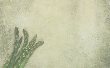 Fresh asparagus, on the table, food background, concept, rustic style, top view, no people