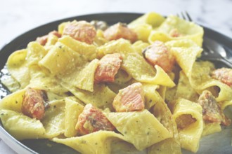 Papardelle pasta, in creamy sauce with salmon, natural light, lifestyle, homemade, on a gray