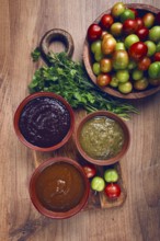 Set of tkemali sauces, three types of tkemali sauce, in ceramic bowls, top view, Georgian cuisine,