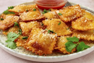 Fried ravioli with parmesan cheese, served with red sauce and garnished with herbs, on a light
