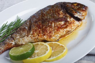 Baked dorado fish, in the oven, fried dorado, with spices and herbs, on a white plate, top view,