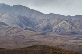 Mountain range, Polychrome Range, Denali National Park, Alaska, USA