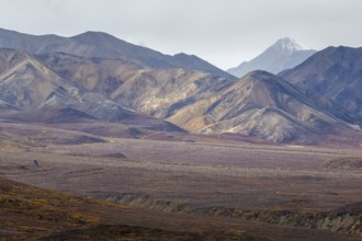 Mountain range, Polychrome Range, Denali National Park, Alaska, USA