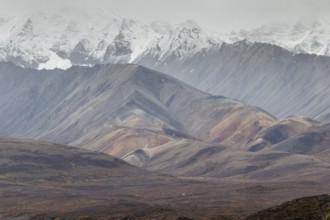 Mountain range, Polychrome Range, Denali National Park, Alaska, USA