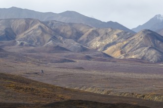Mountain range, Polychrome Range, Denali National Park, Alaska, USA