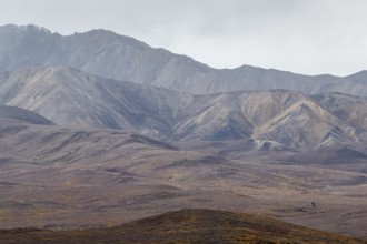 Mountain range, Polychrome Range, Denali National Park, Alaska, USA