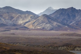 Mountain range, Polychrome Range, Denali National Park, Alaska, USA
