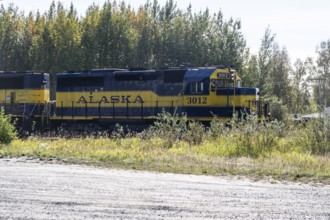 Alaska Railway locomotive, Alaska, USA
