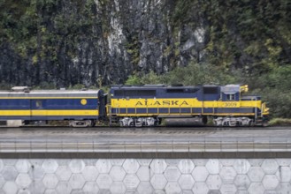 Alaska Railway locomotive, Alaska, USA