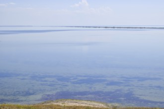 The landscape of the coastal estuary in the sea. Atyrau, Kazakhstan
