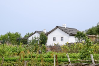 Adobe hut with a roof of reeds. Taman, Krasnodar Krai, Russia
