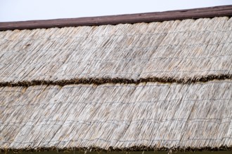 The slope of the roof of reeds and straw. Taman, Krasnodar Krai, Russia