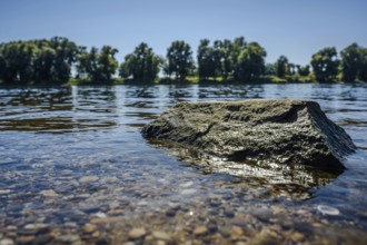 A large stone protrudes from the calm waters of a river. It is a clear, sunny day. In the