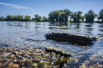 The calm waters of the river reflect the blue sky. Stones lie on the banks and the sun shines on a