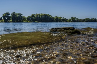 Tranquillity on the riverbank, where gentle waves crash against stones. In the background there is