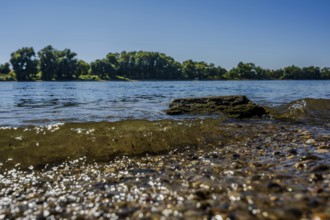 On the banks of a calm river, gentle waves crash against the stones. Green trees line the bank