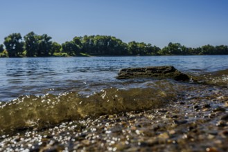 The sun shines on the calm waters of a river. Small waves gently lap against the shore, while the