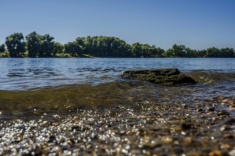 The gentle waves reflect the sunlight while a rock stands in the water. Shoreline vegetation