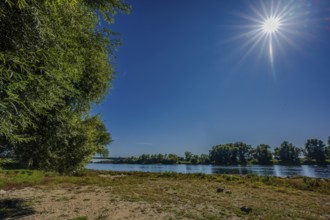 The picture shows a calm river landscape on a sunny day. The sky is clear and blue, with a few