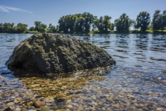 A large stone lies in the shallow water of a calm river. In the background you can see trees