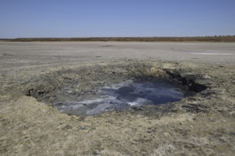 Source vents mud at the bottom of a dried-up salt lake. Taman, Krasnodar Krai, Russia