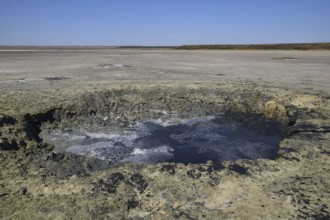Source vents mud at the bottom of a dried-up salt lake. Taman, Krasnodar Krai, Russia