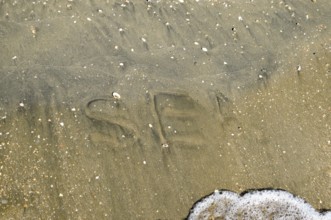 The inscription of the sea on the sand. Coastal sand and waves. Taman, Krasnodar Krai, Russia