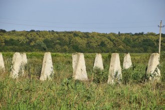 The ruins of the old farm. Cones column base of the wall. Abandoned and ruined buildings