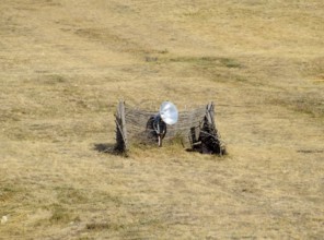 Lamp with a searchlight on the lawn for lighting a high object. Taman, Krasnodar Krai, Russia