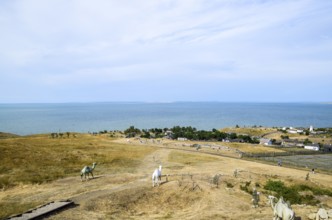 The landscape at the Cossack village, a museum Ataman. Taman, Krasnodar Krai, Russia