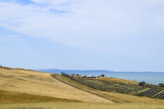 The landscape at the Cossack village, a museum Ataman. Taman, Krasnodar Krai, Russia