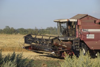 Russia, Poltavskaya village - September 6, 2015: The old combine harvester harvests wheat.